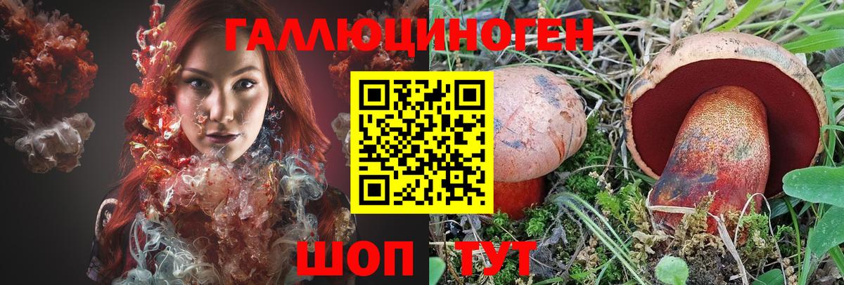 Псилоцибиновые грибы Cubensis  Псилоцибиновые грибы GOLDEN TEACHER  Мариинск  Вход с VPN 